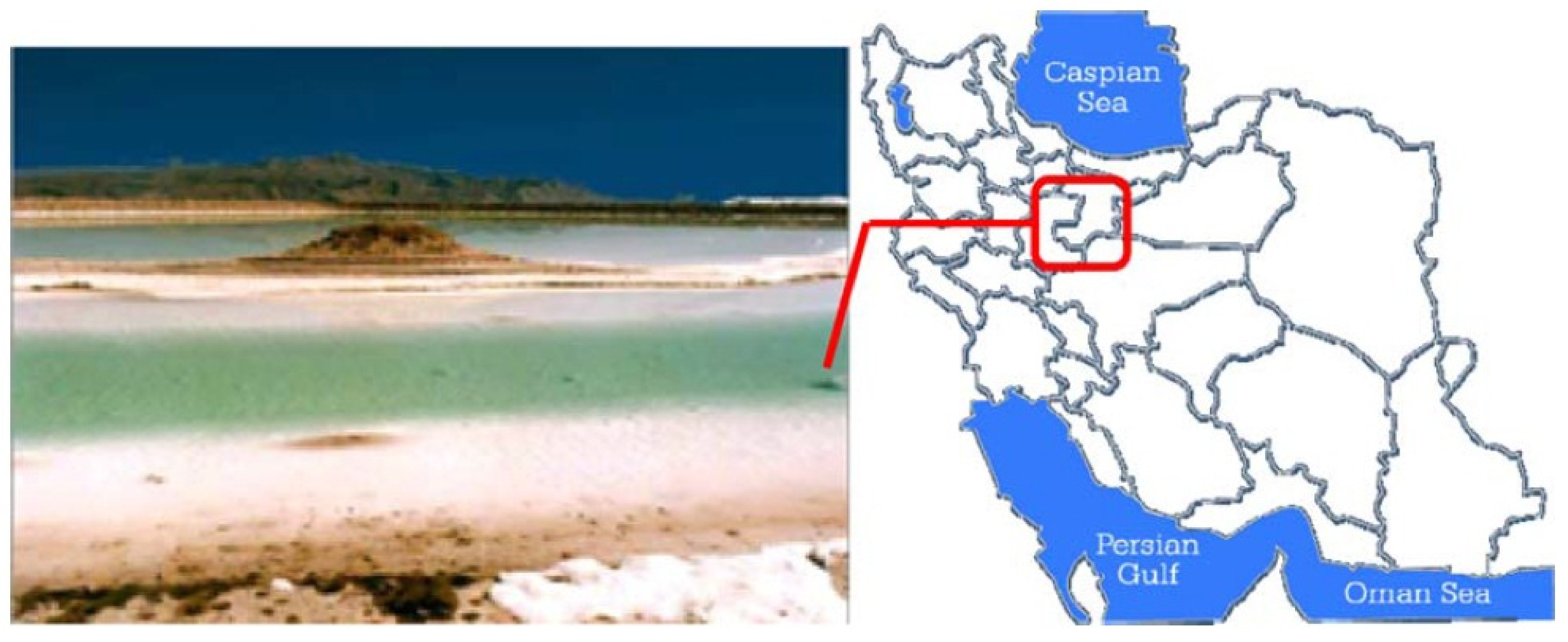 Sustainability 14 03284 g006 Sustainability 14 03284 g006