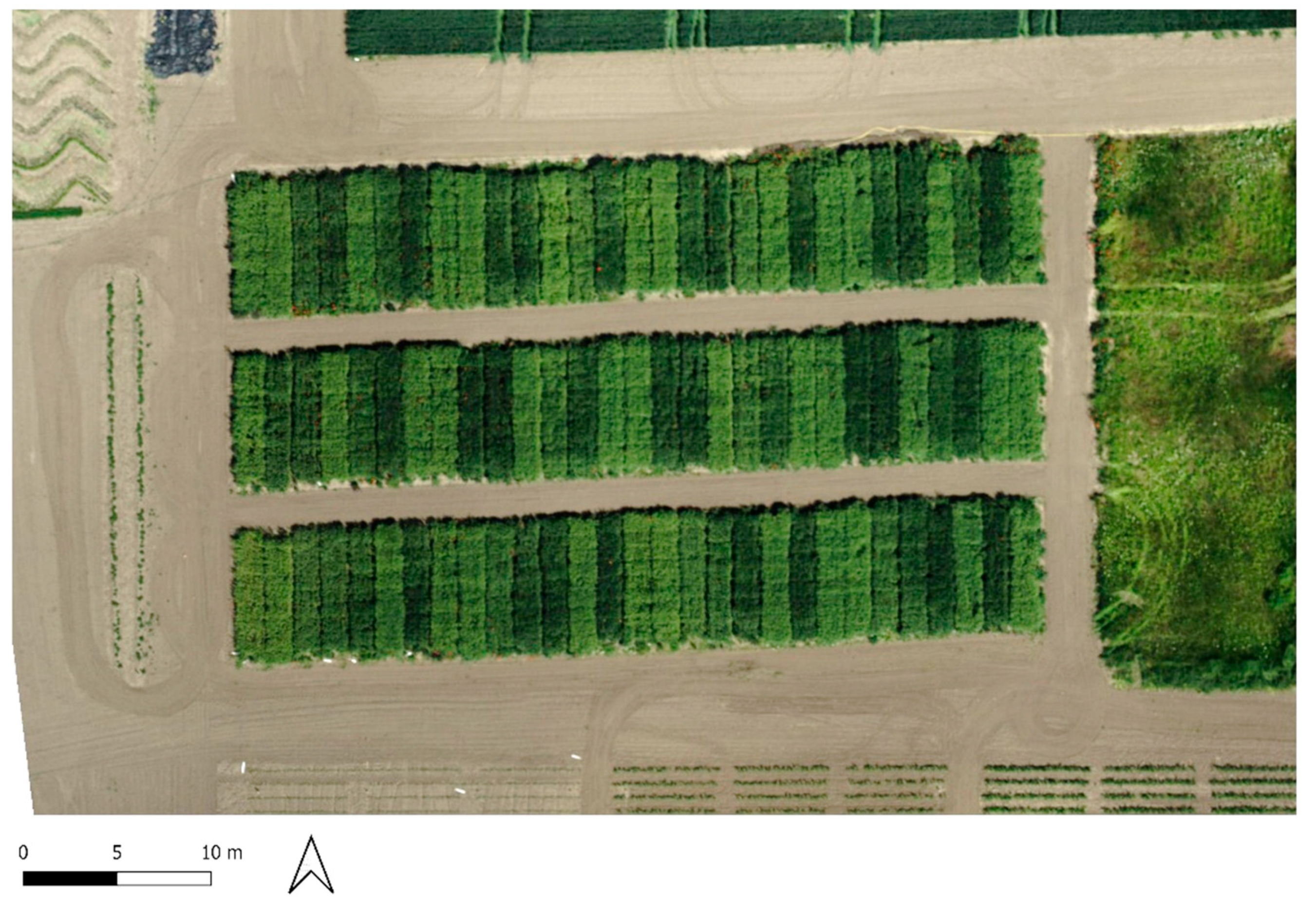 Sustainability 14 03339 g010