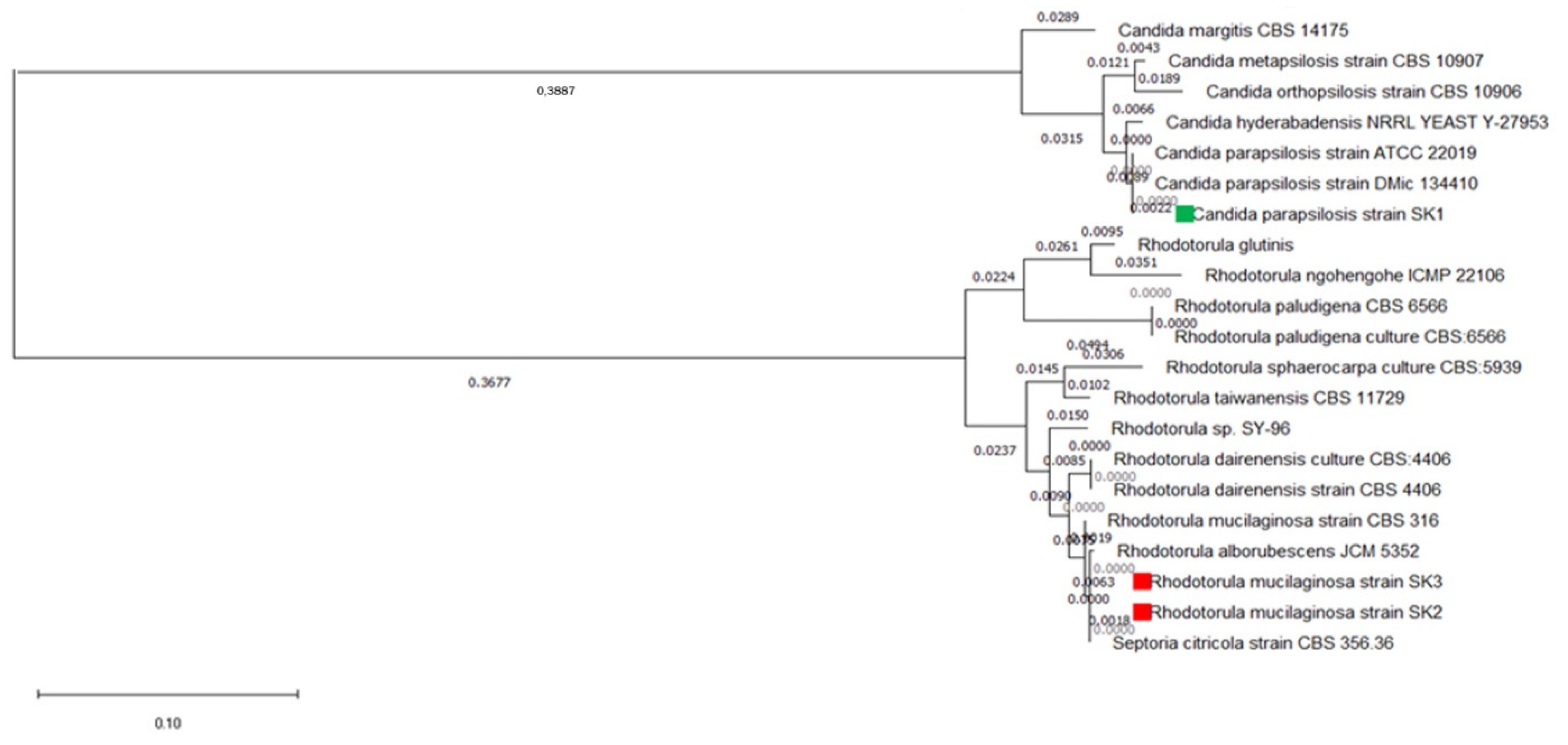 Sustainability 14 03465 g001