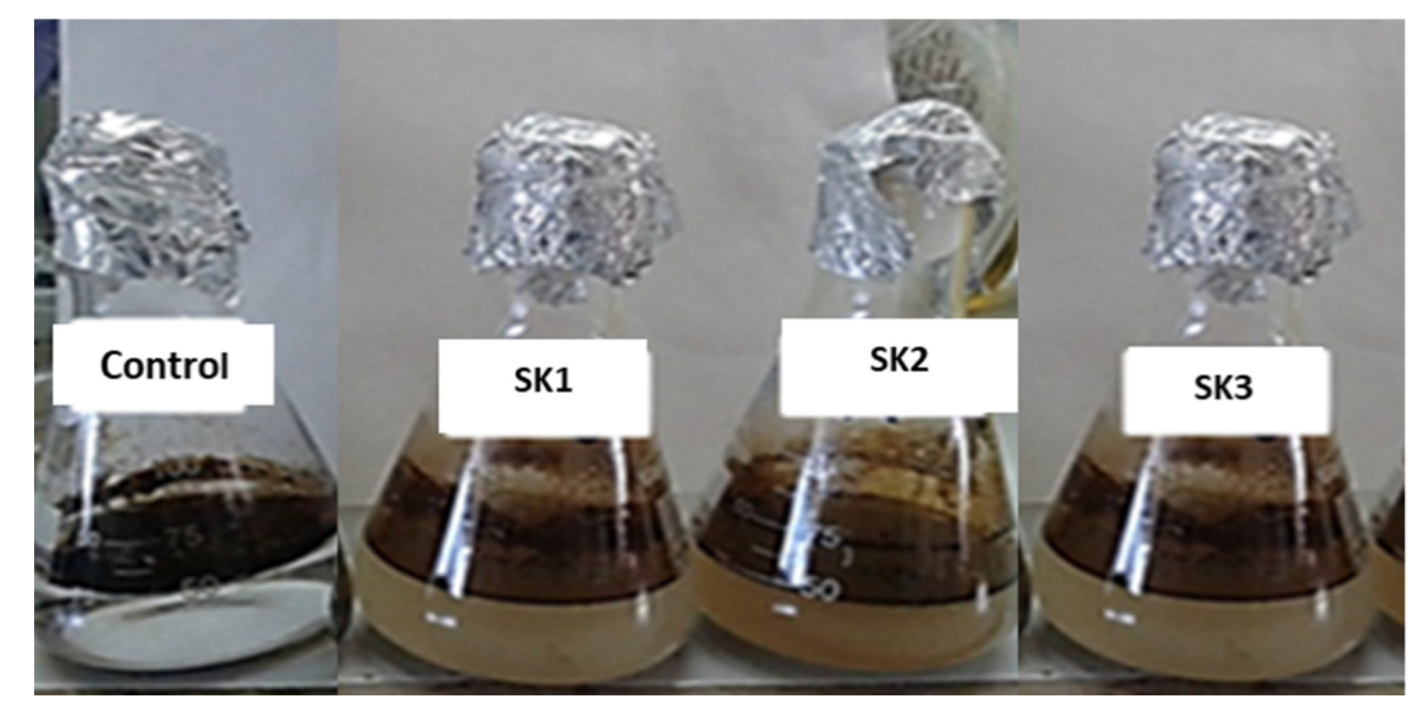 Sustainability 14 03465 g002