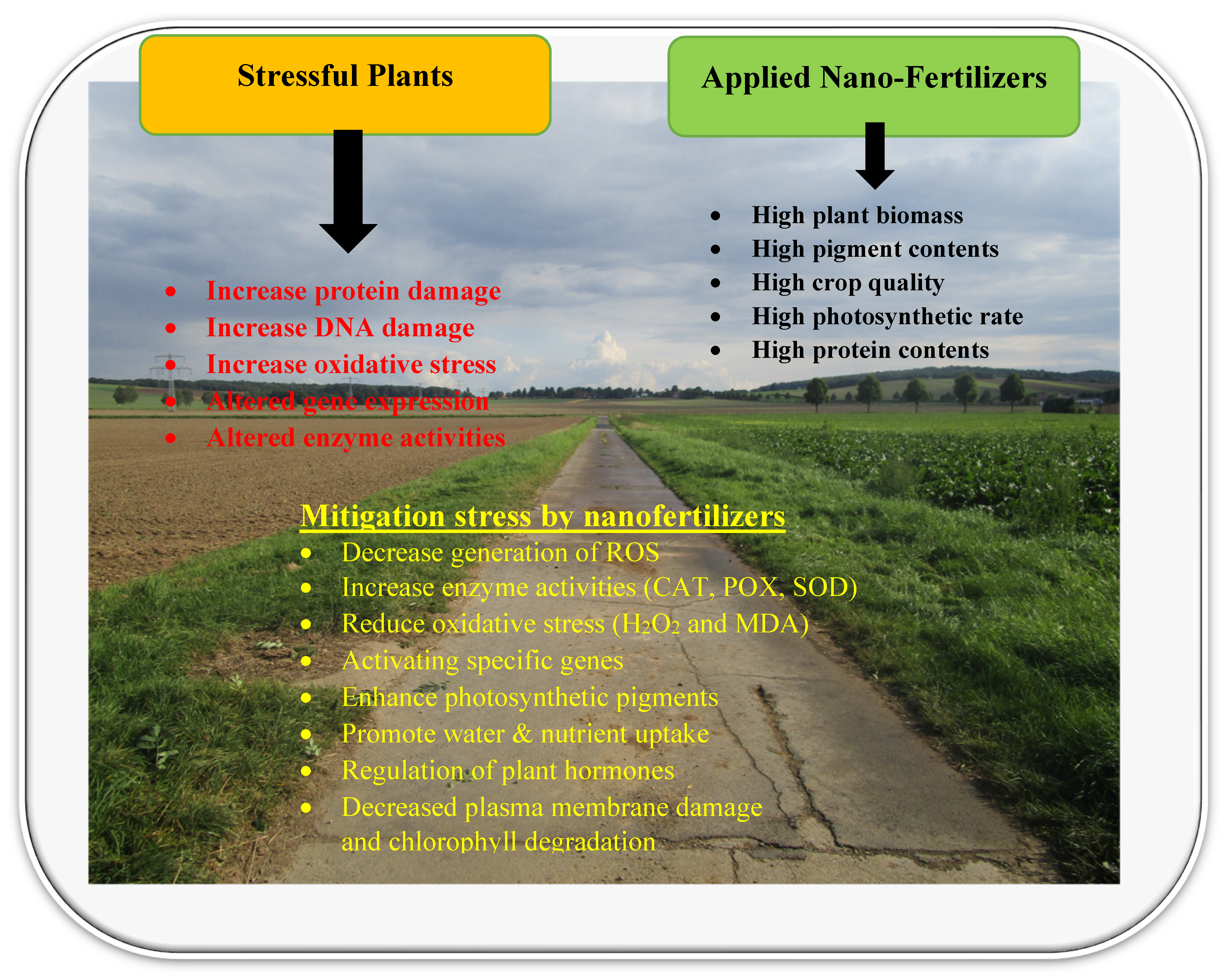 Sustainability 14 03480 g002