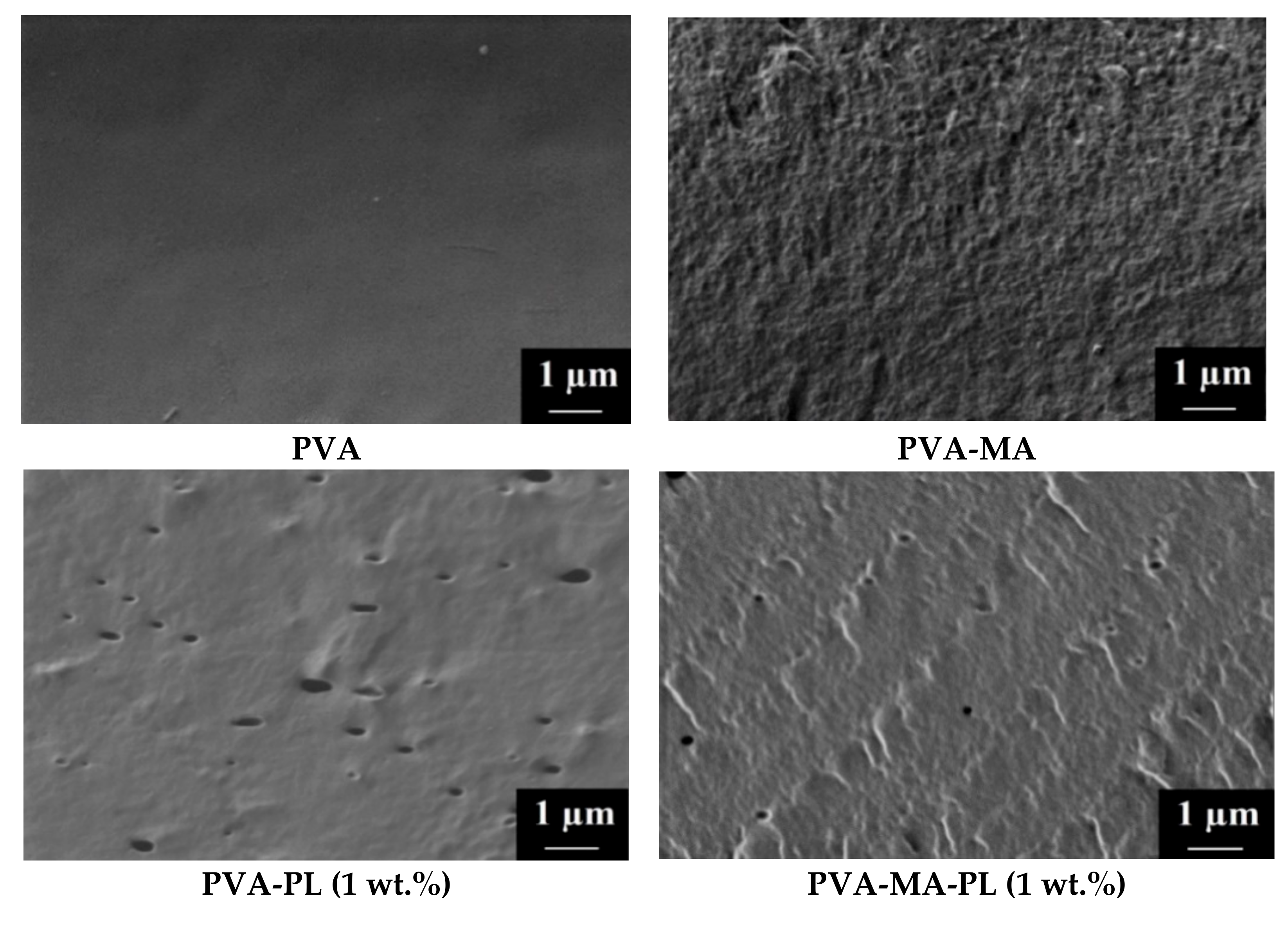 Sustainability 14 03561 g005a