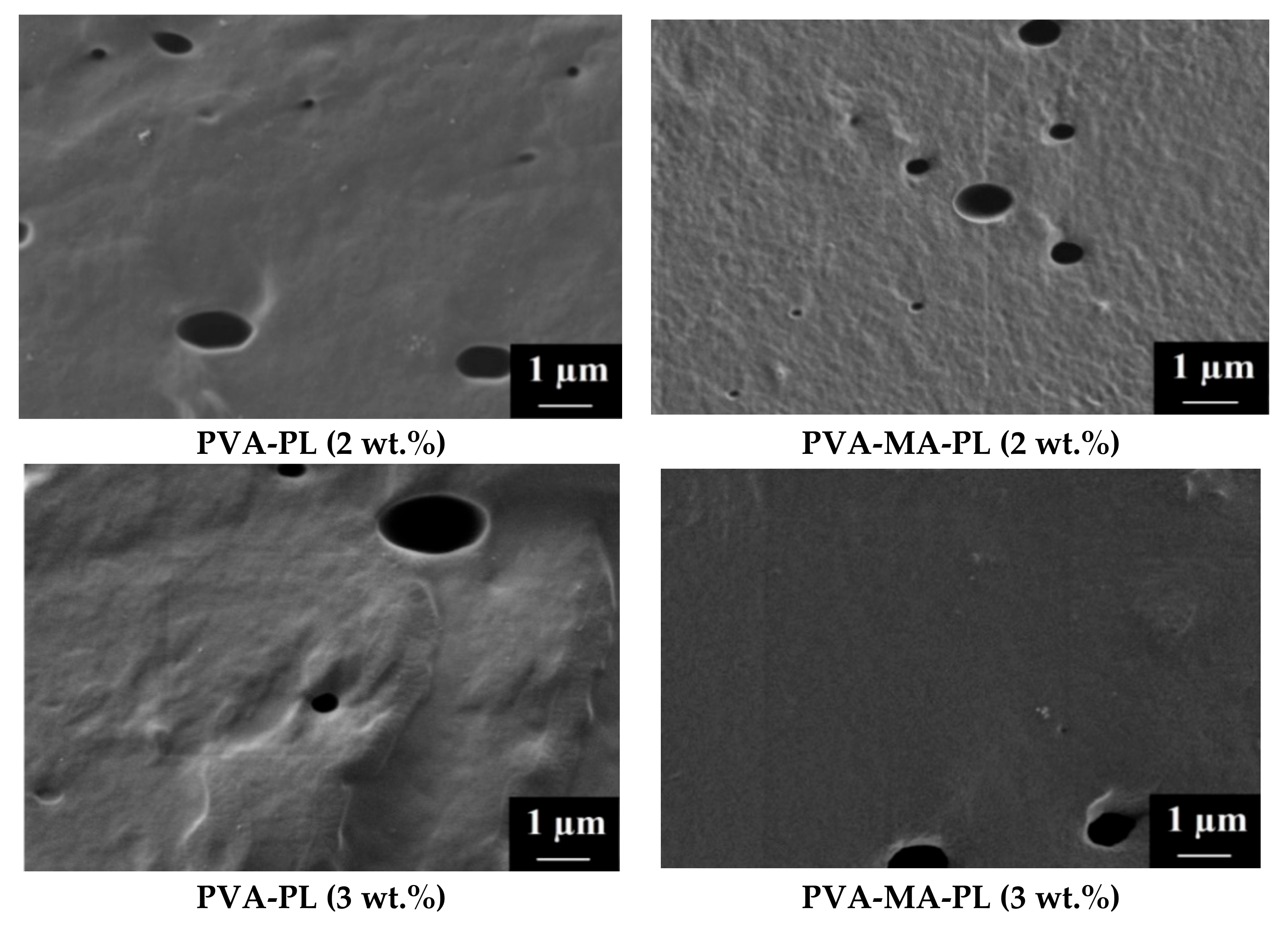 Sustainability 14 03561 g005b