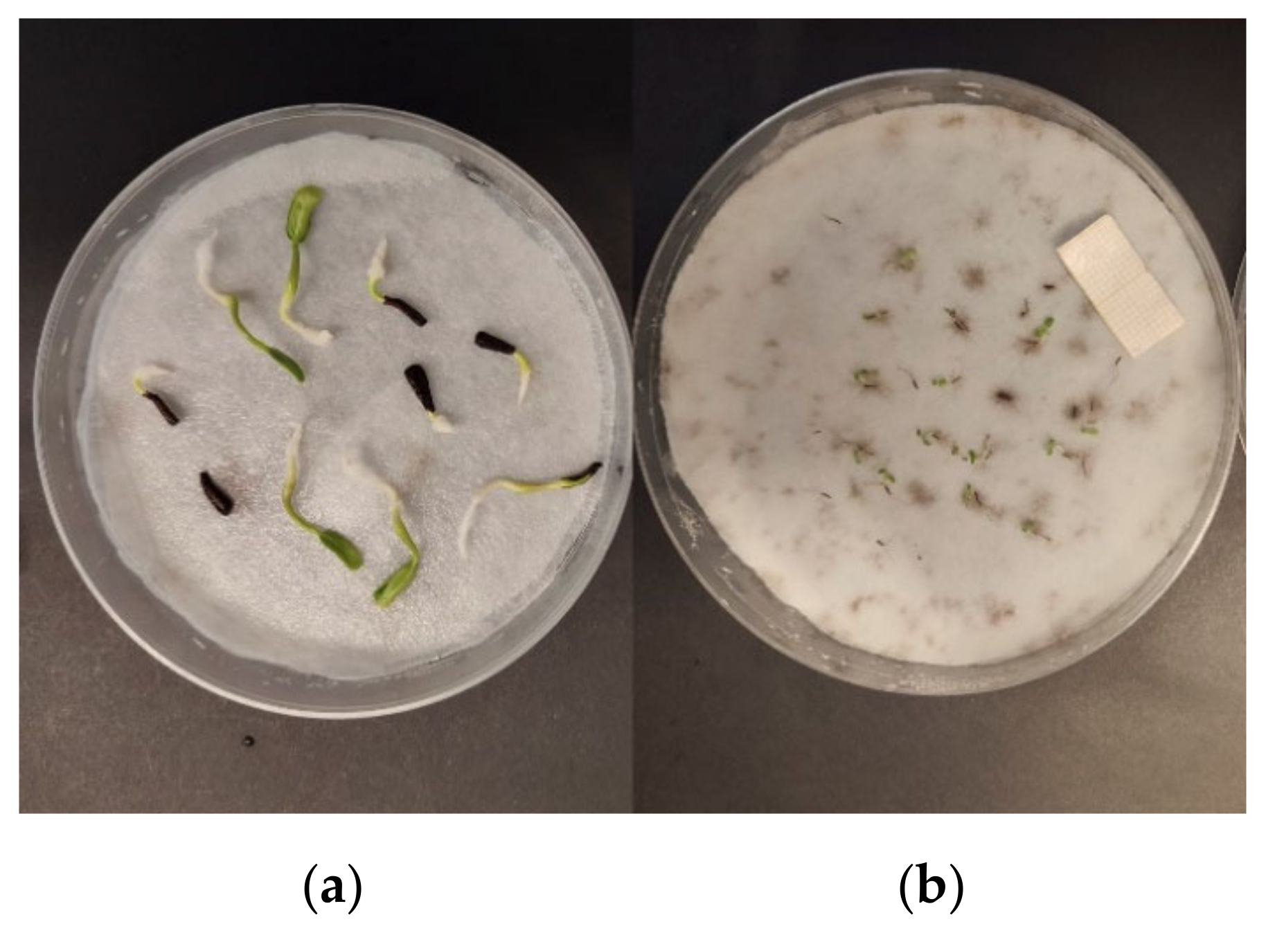 Sustainability 14 03596 g003