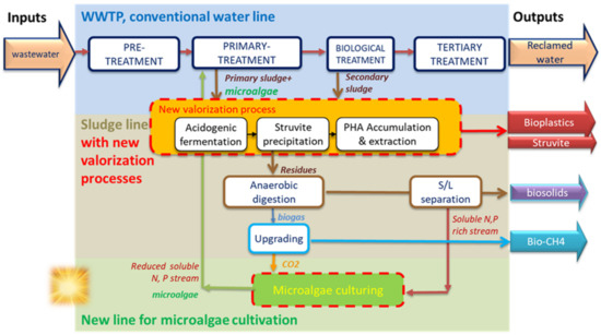Sustainability 14 03704 g001 550