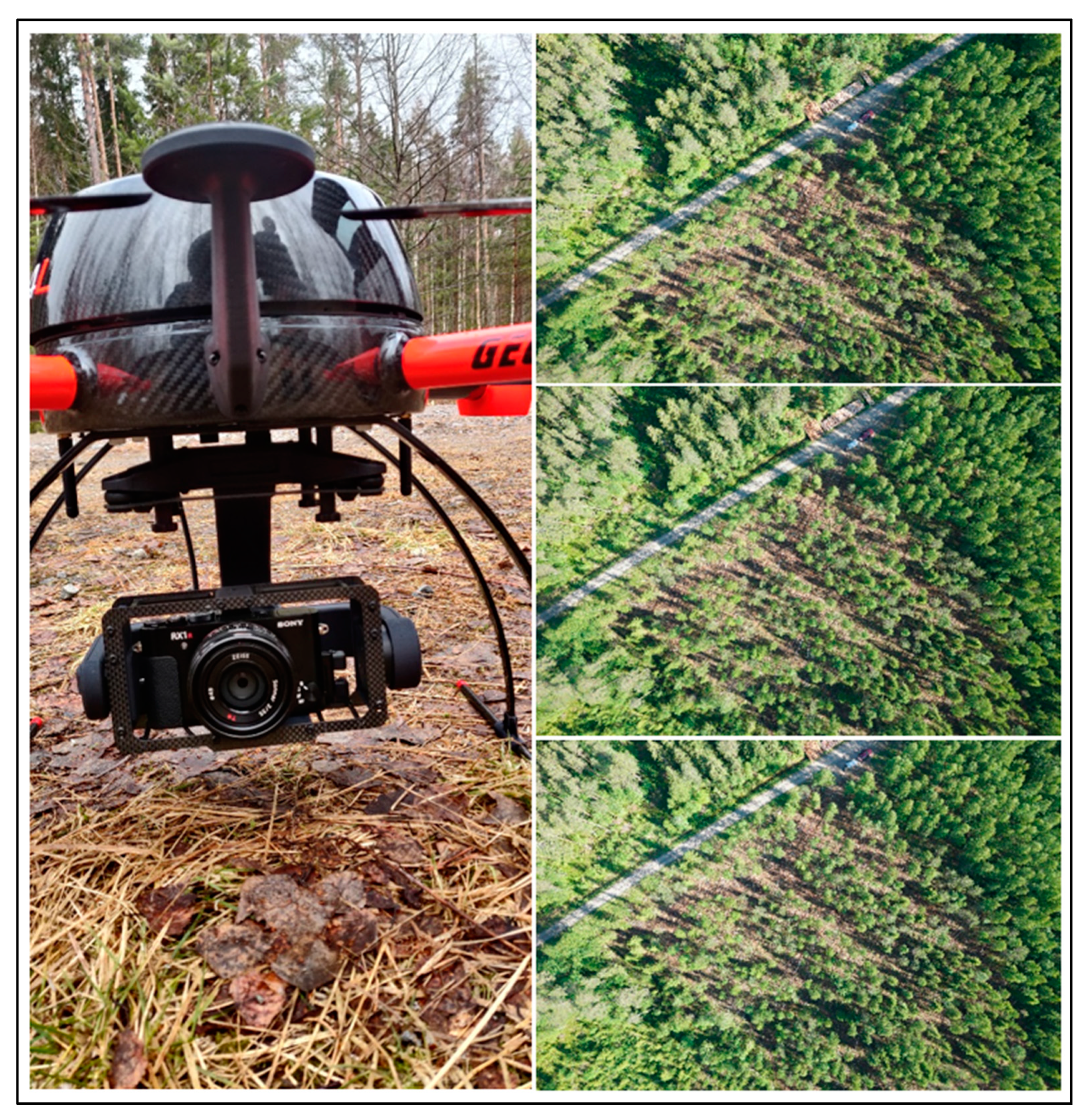 Sustainability 14 03720 g0a1