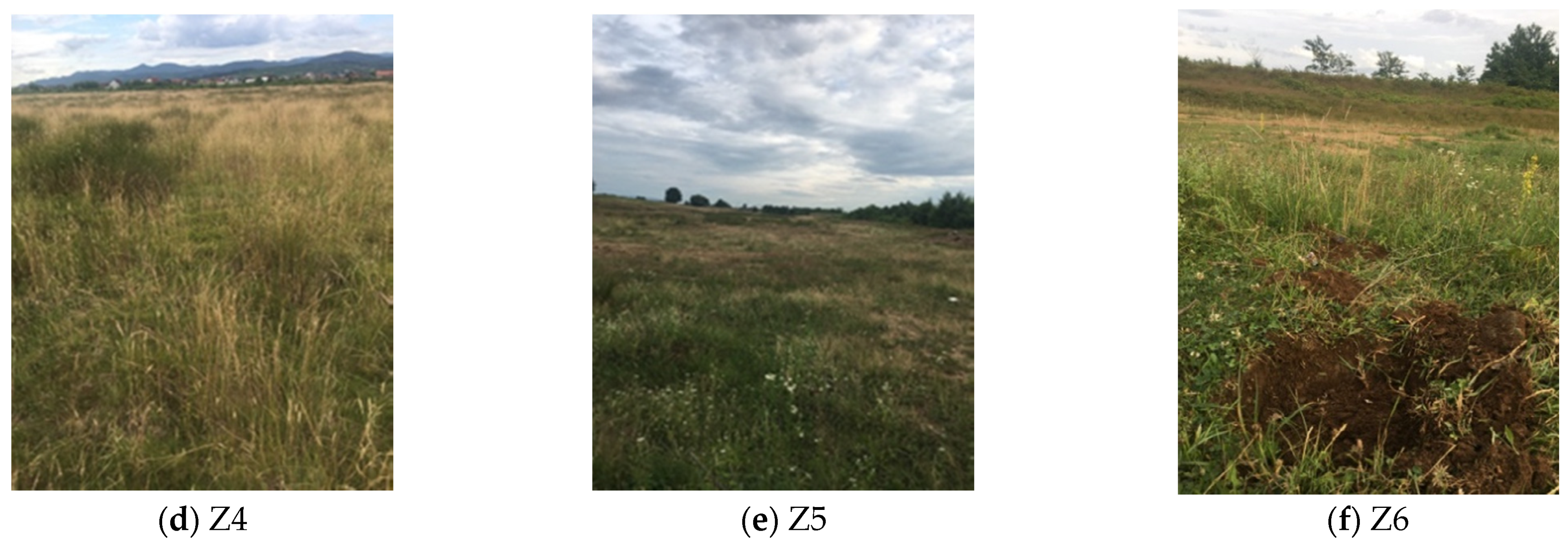 Sustainability 14 03739 g002b