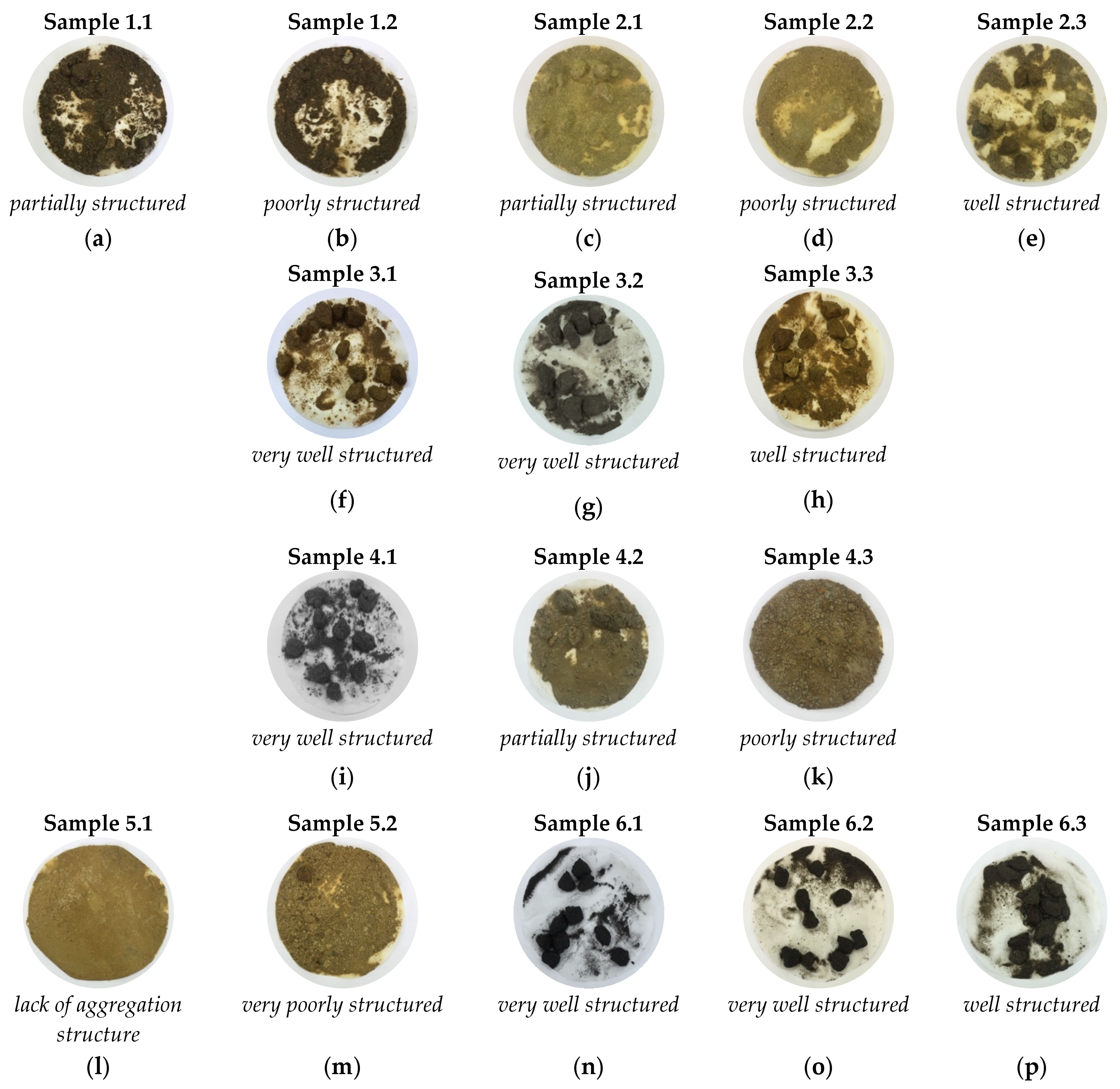 Sustainability 14 03739 g005