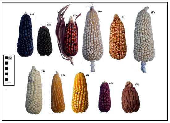 Sustainability 14 03779 g0a1 550