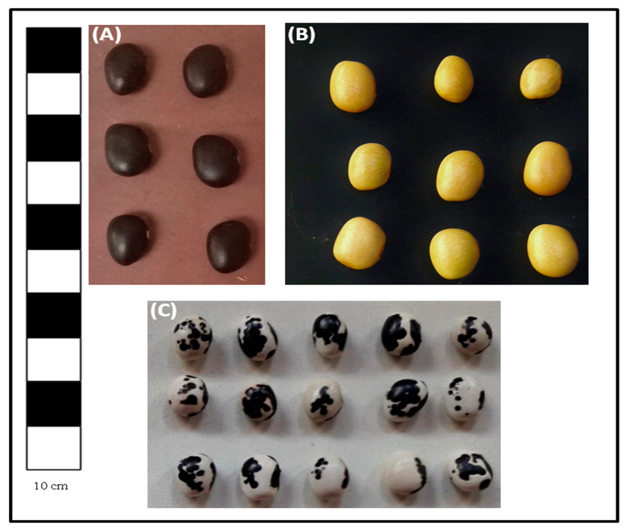 Sustainability 14 03779 g0a2
