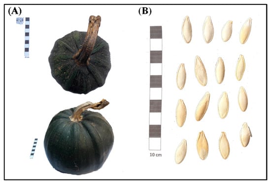 Sustainability 14 03779 g0a3 550