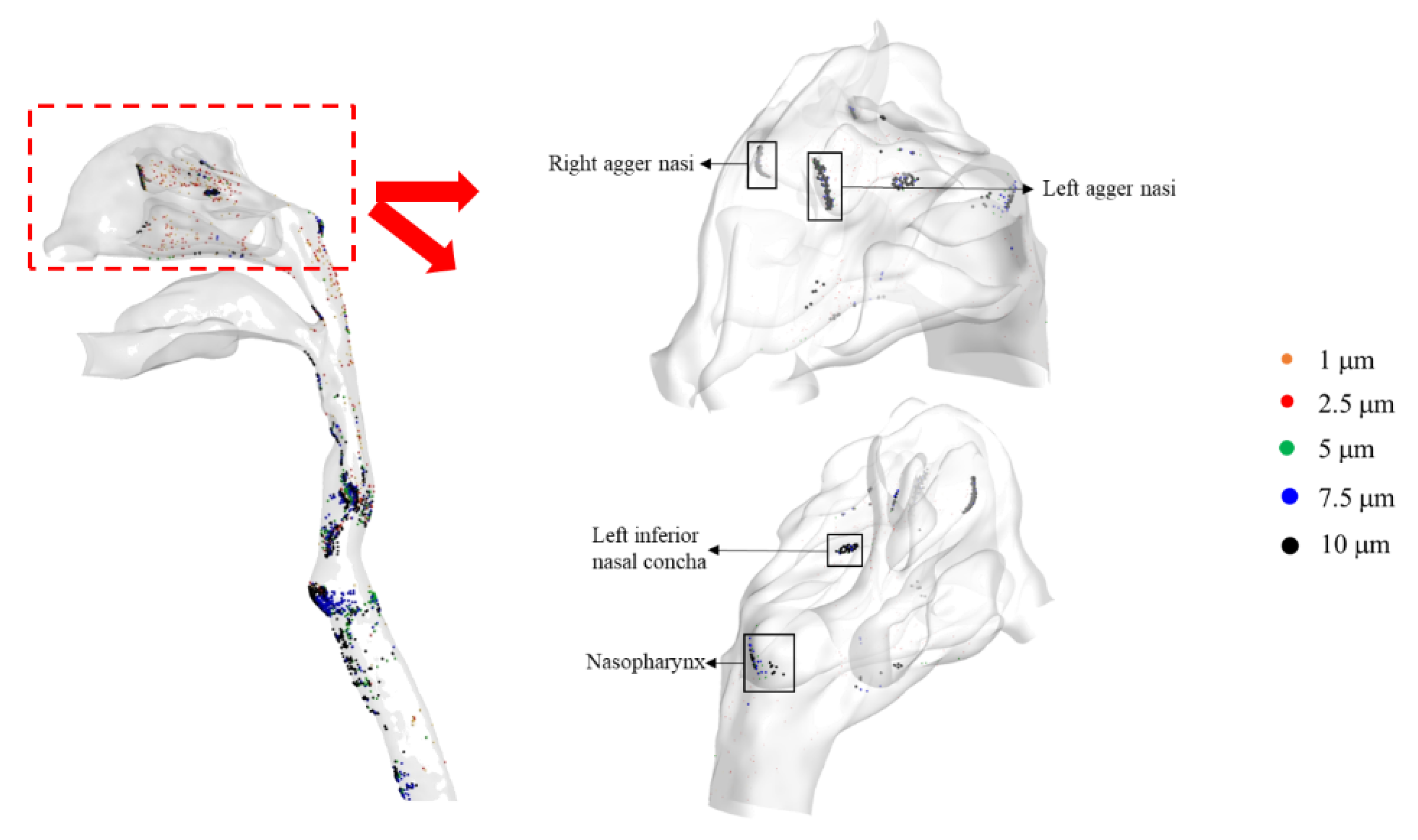 Sustainability 14 03896 g008