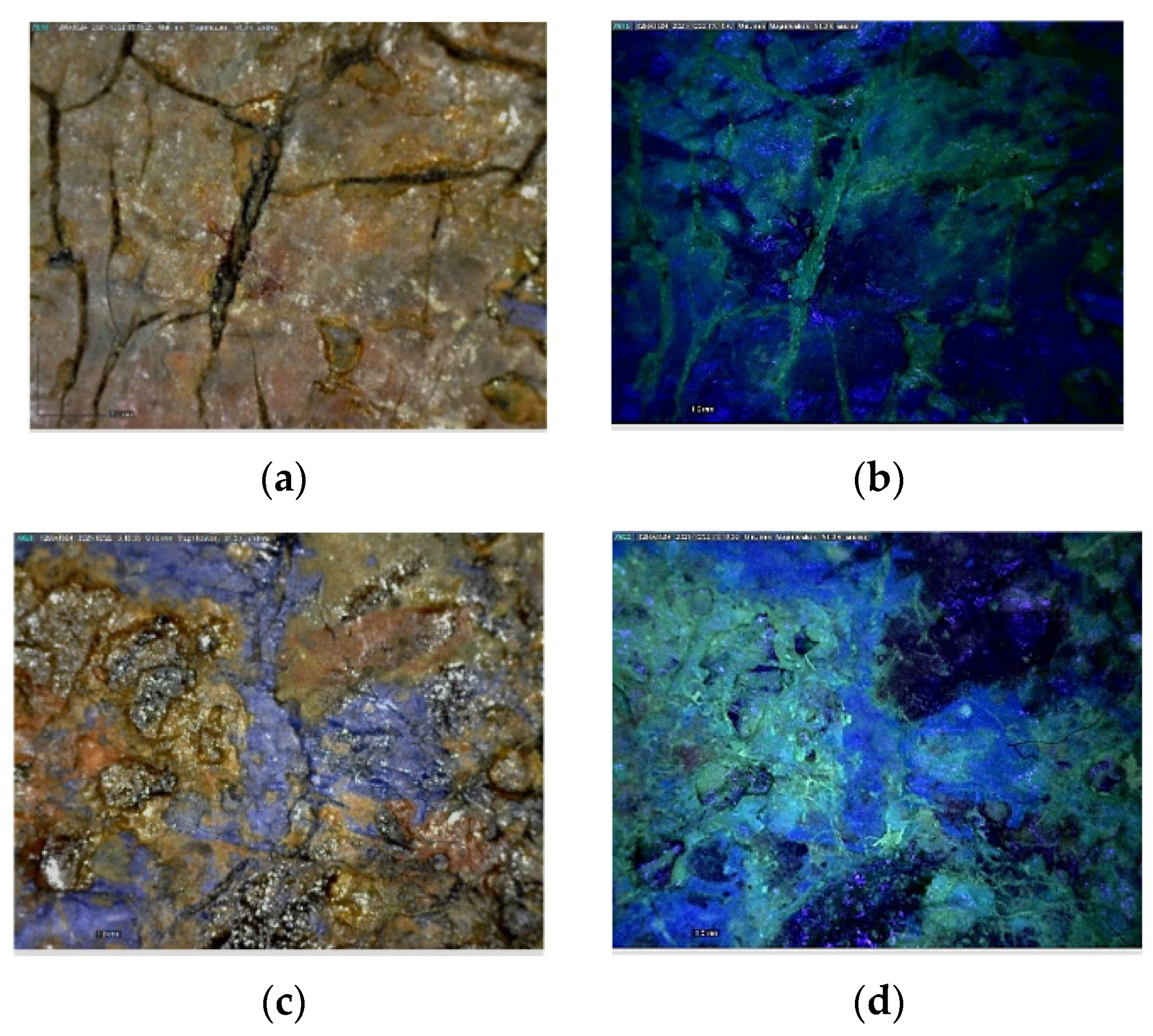 Sustainability 14 03972 g002