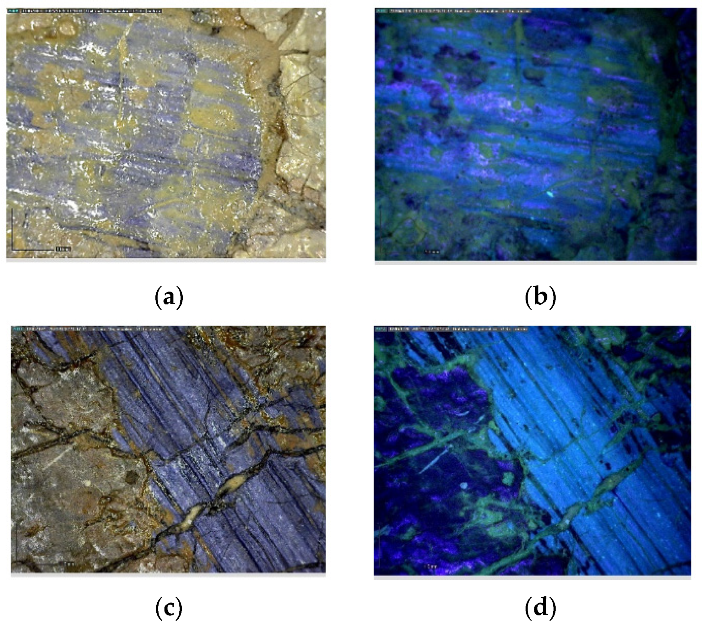 Sustainability 14 03972 g003