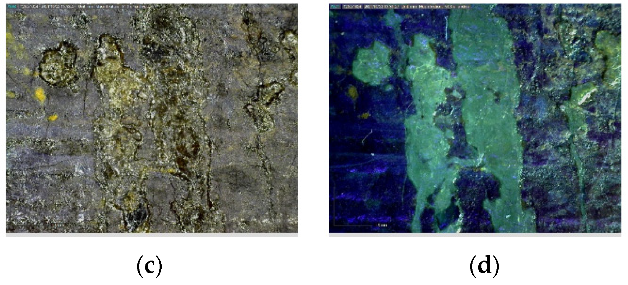 Sustainability 14 03972 g004b