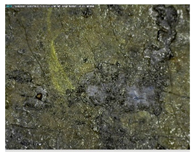 Sustainability 14 03972 i001