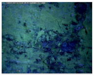 Sustainability 14 03972 i002