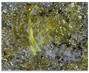 Sustainability 14 03972 i003