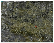 Sustainability 14 03972 i005