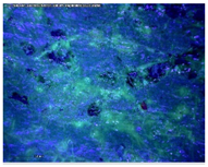 Sustainability 14 03972 i008