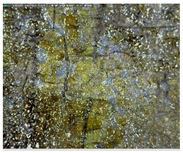 Sustainability 14 03972 i011