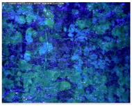 Sustainability 14 03972 i012