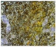 Sustainability 14 03972 i015