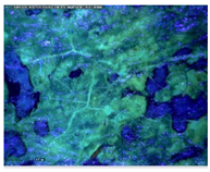 Sustainability 14 03972 i016