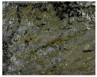 Sustainability 14 03972 i017