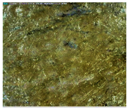 Sustainability 14 03972 i023