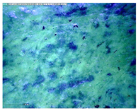 Sustainability 14 03972 i024