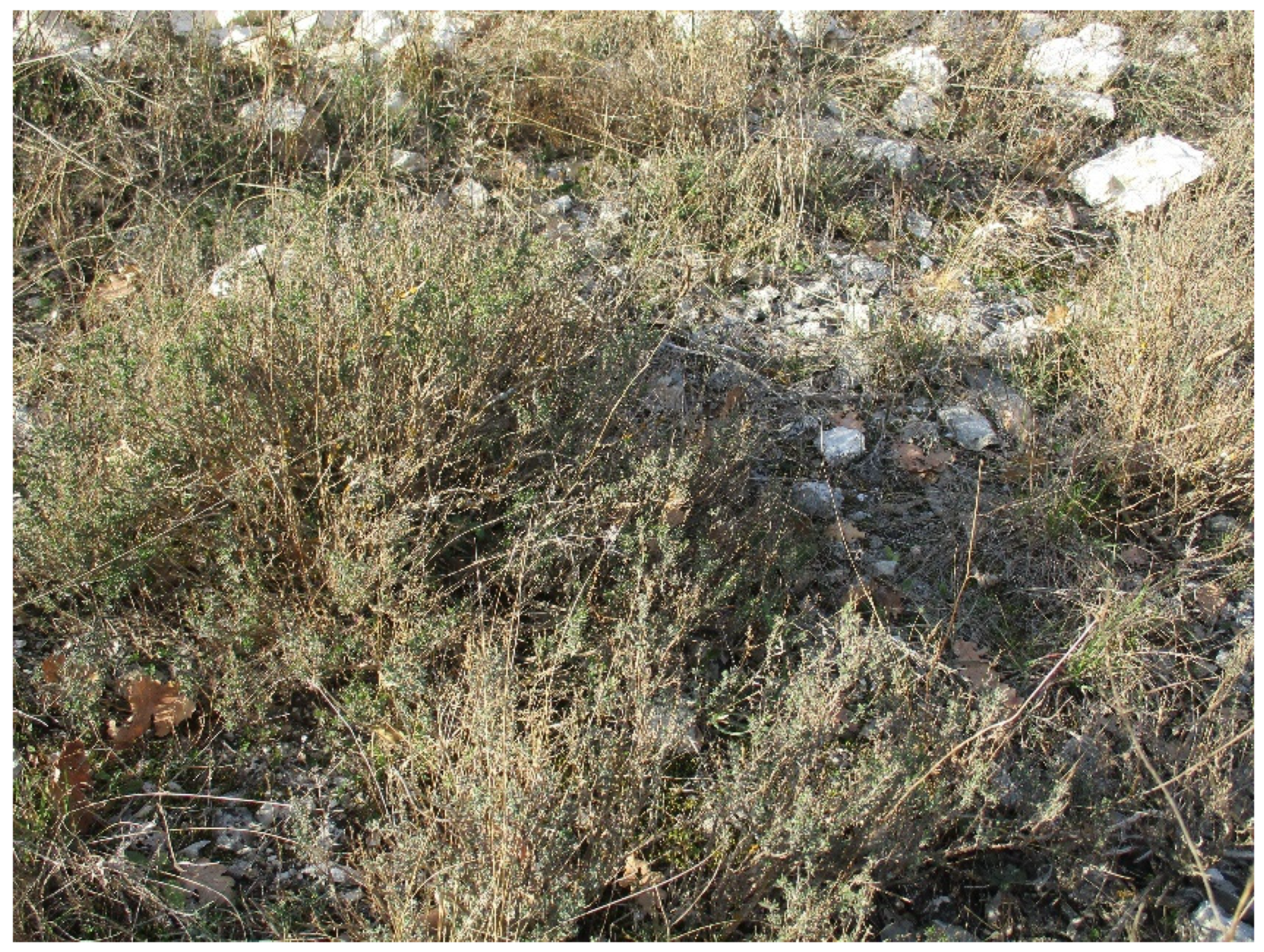 Sustainability 14 03981 g003 Sustainability 14 03981 g003