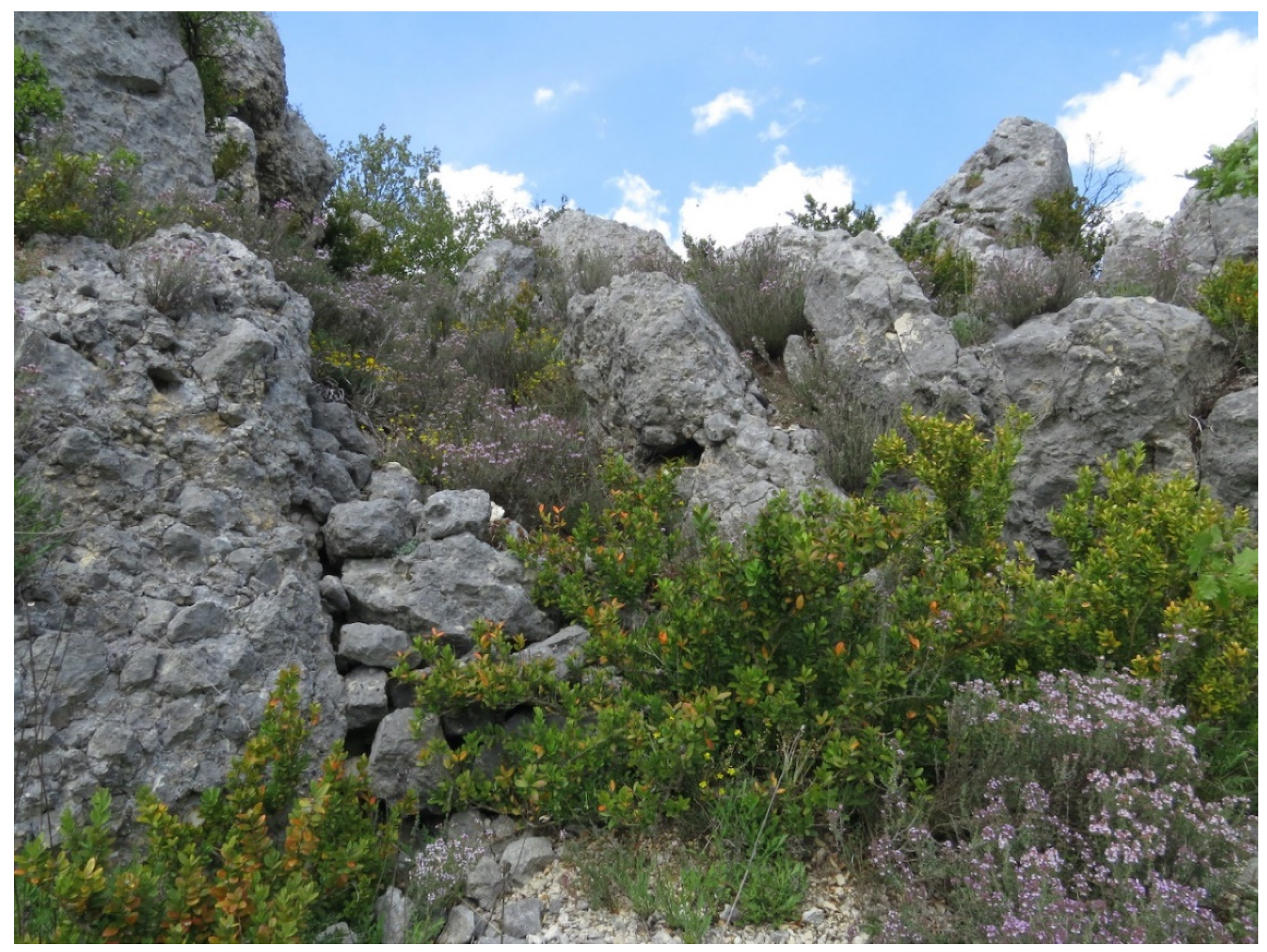 Sustainability 14 03981 g012 Sustainability 14 03981 g012