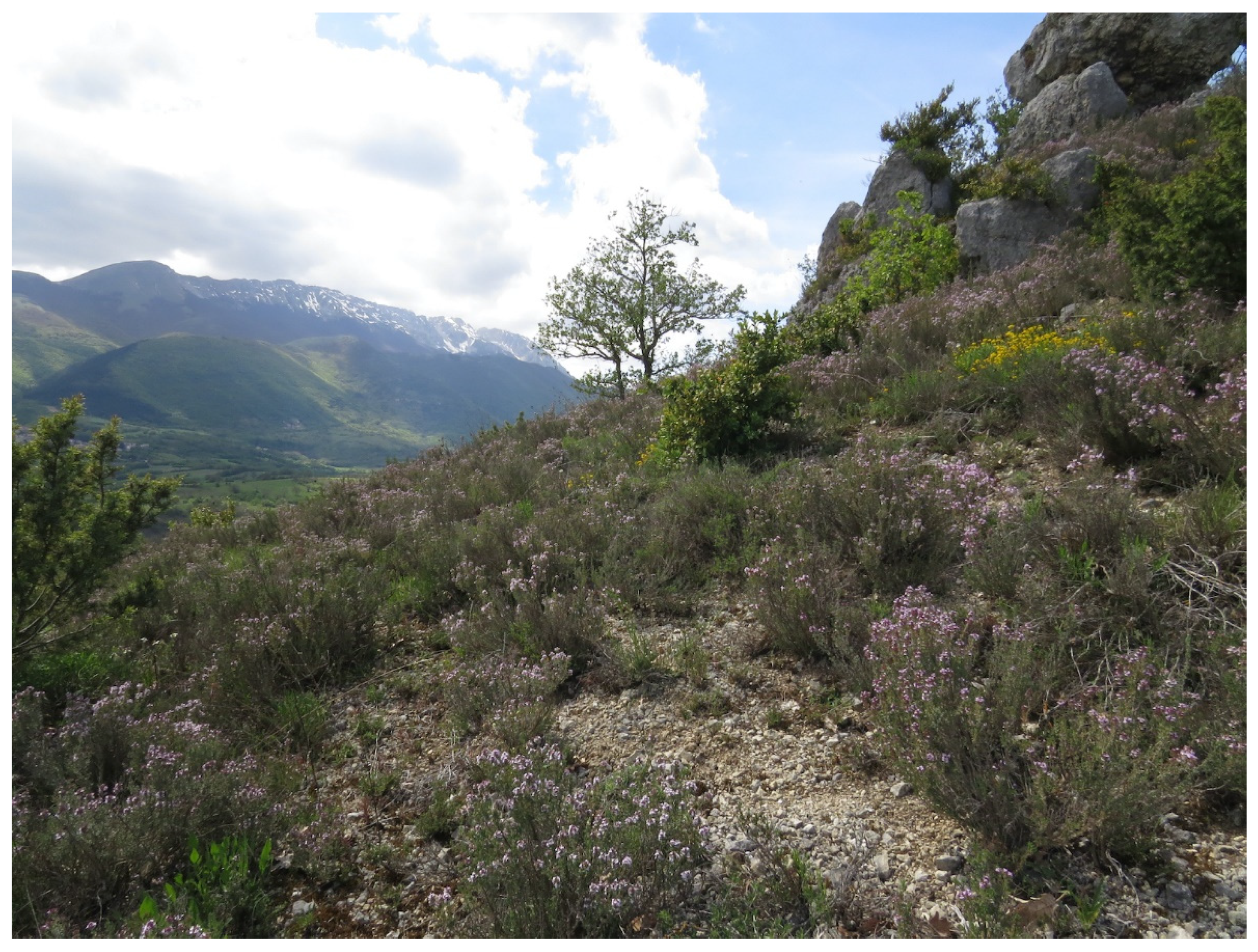 Sustainability 14 03981 g013 Sustainability 14 03981 g013