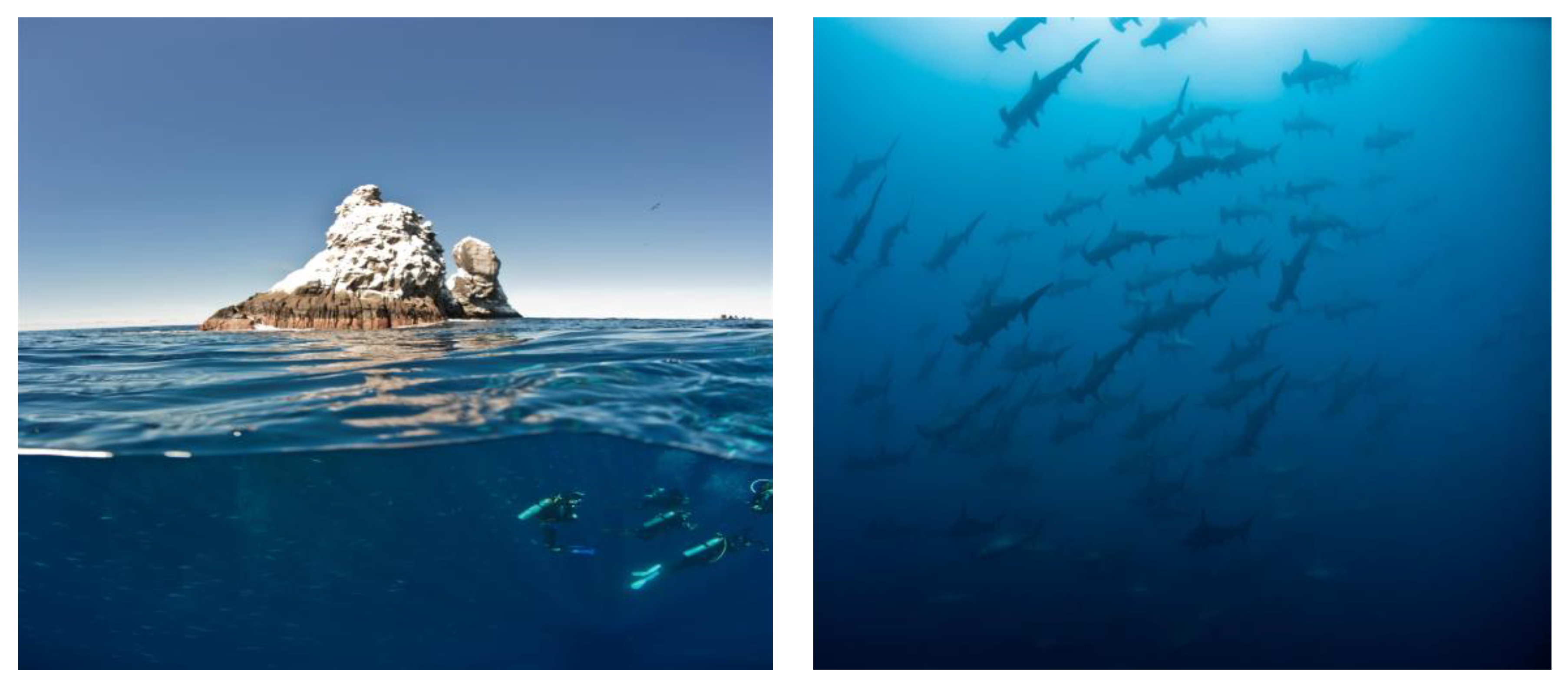 Sustainability 14 04027 g002