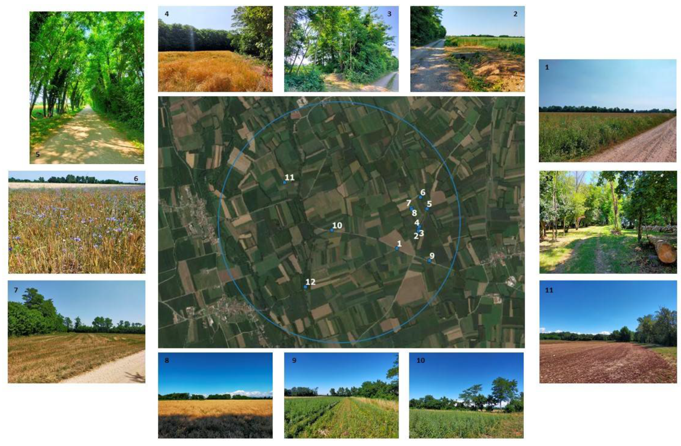 Sustainability 14 04044 g003