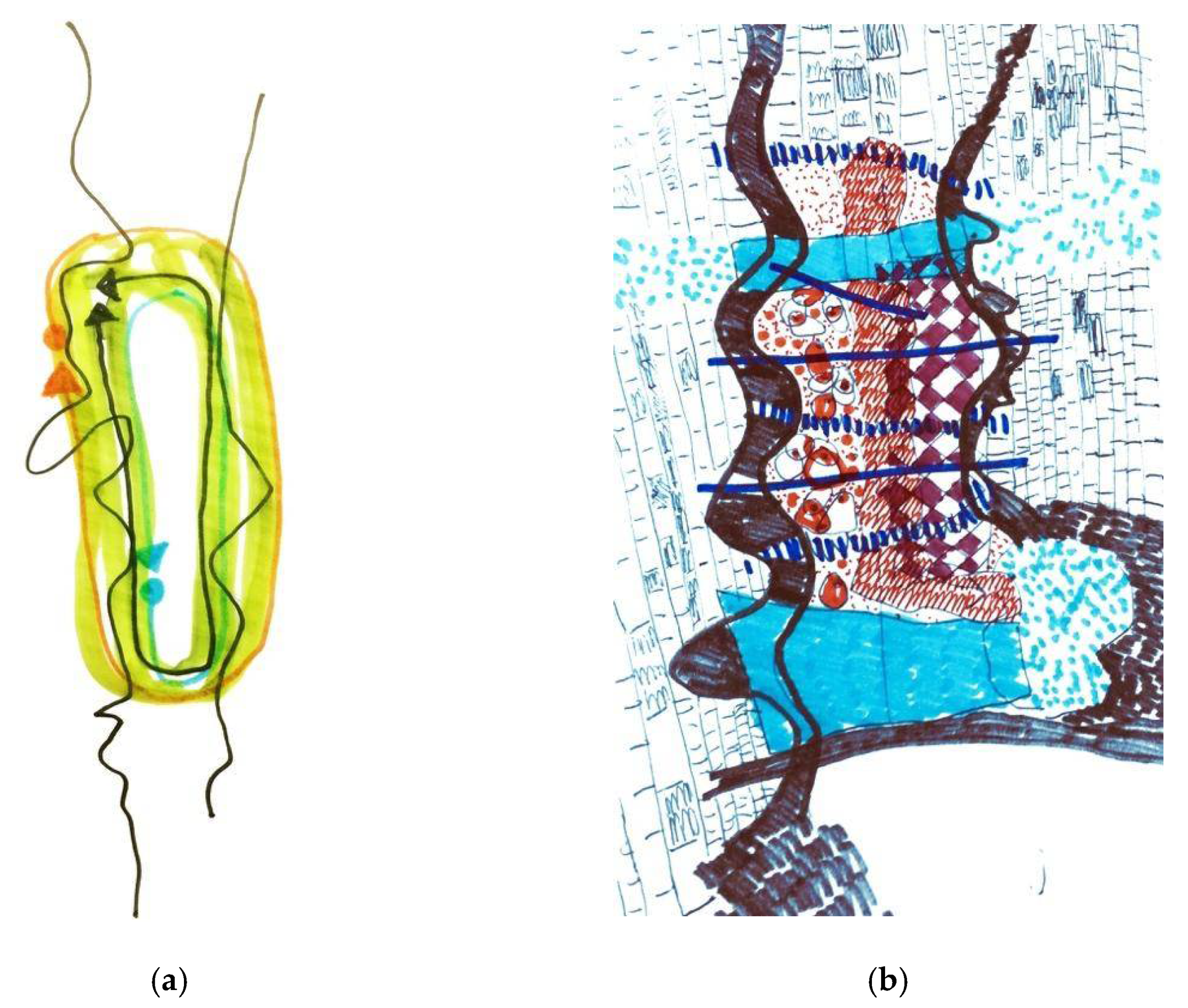 Sustainability 14 04044 g008