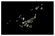 Sustainability 14 04108 i009