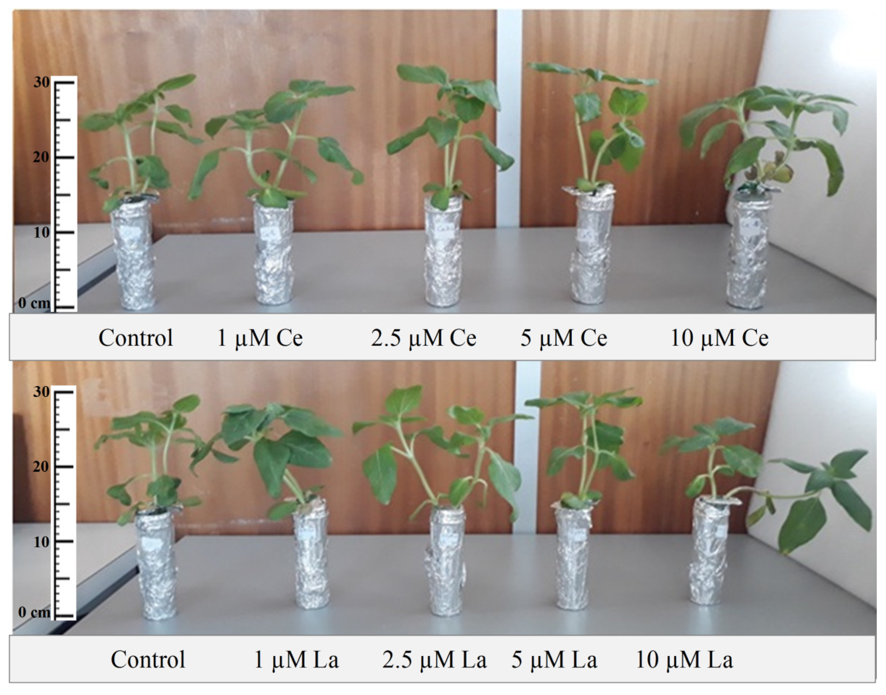 Sustainability 14 04153 g002