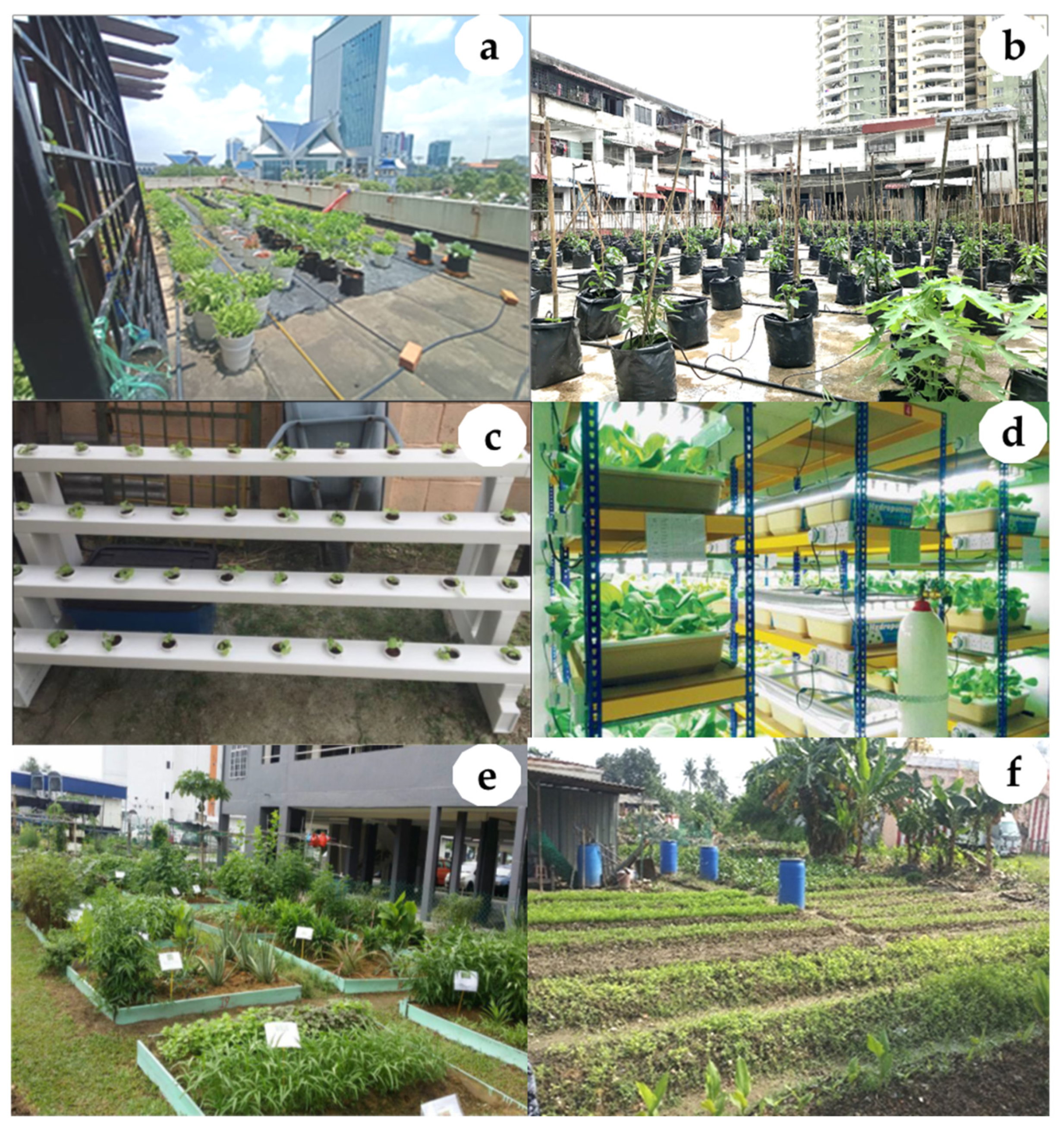 Sustainability 14 04155 g006 Sustainability 14 04155 g006