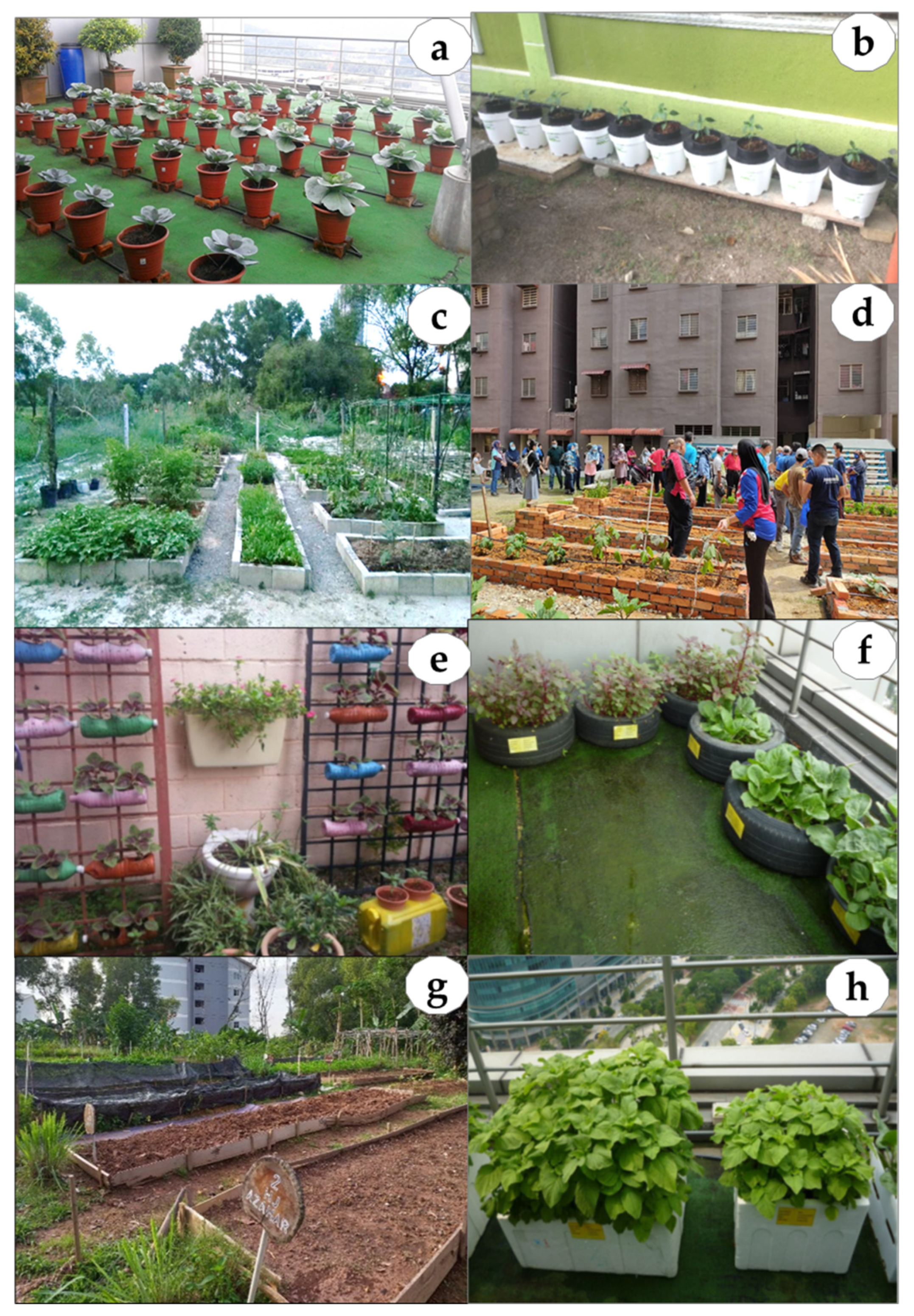 Sustainability 14 04155 g007 Sustainability 14 04155 g007