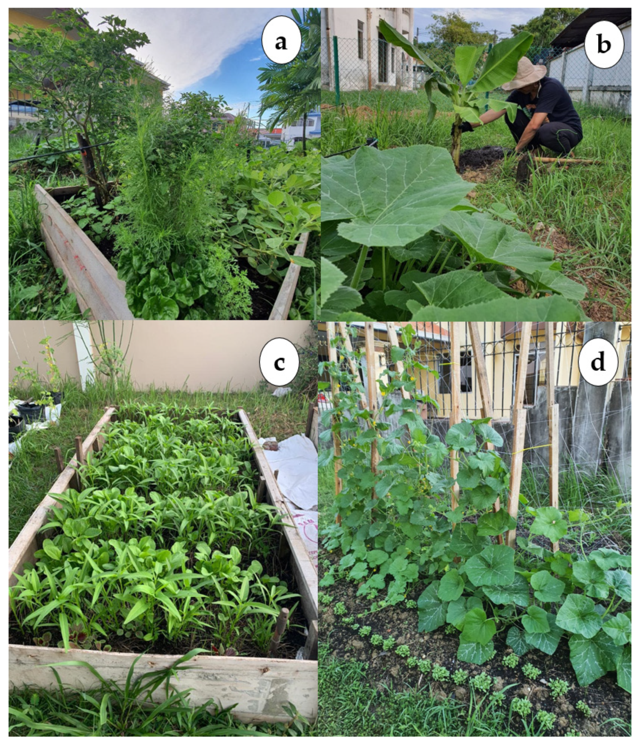 Sustainability 14 04155 g008 Sustainability 14 04155 g008