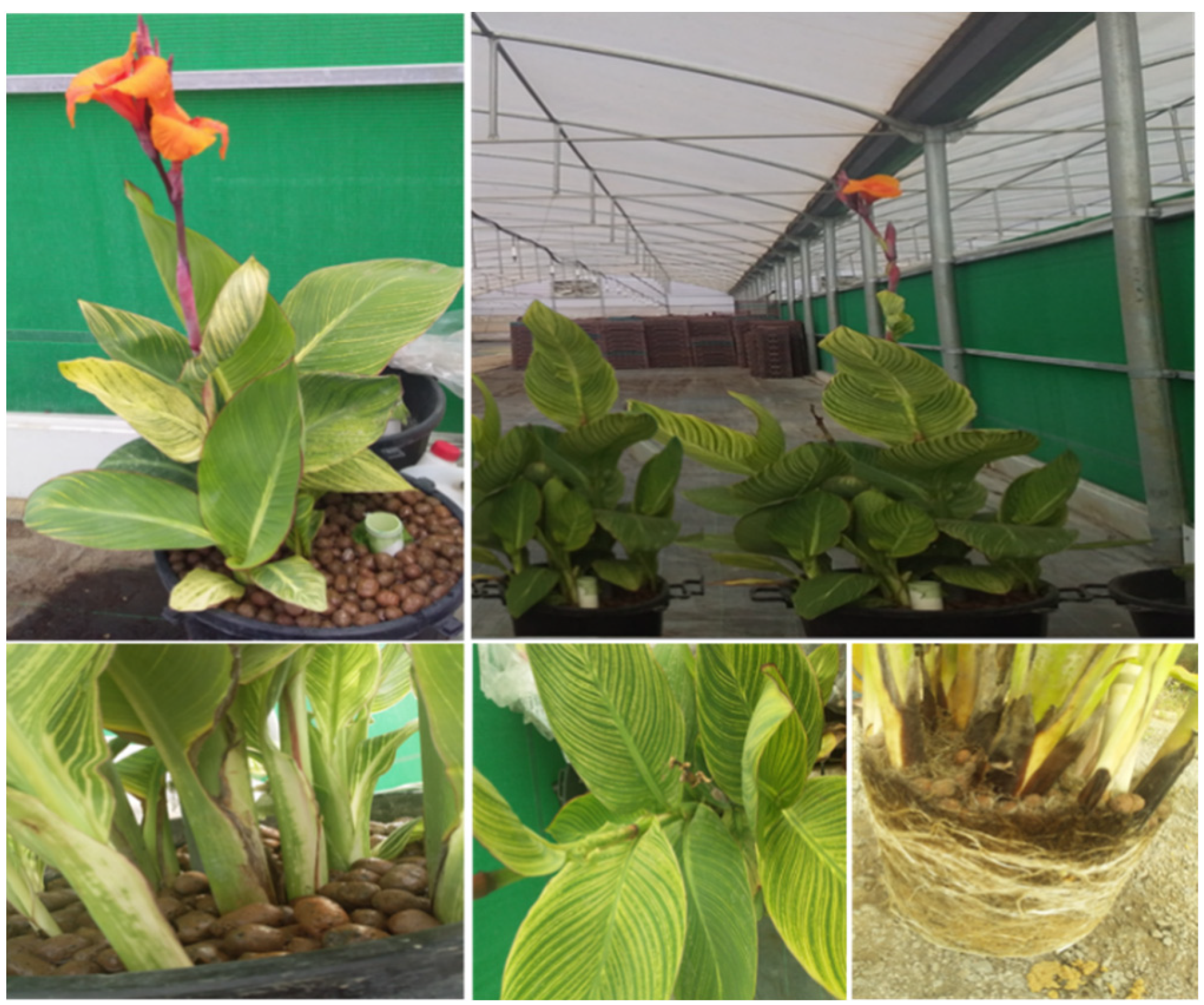 Sustainability 14 04394 g001