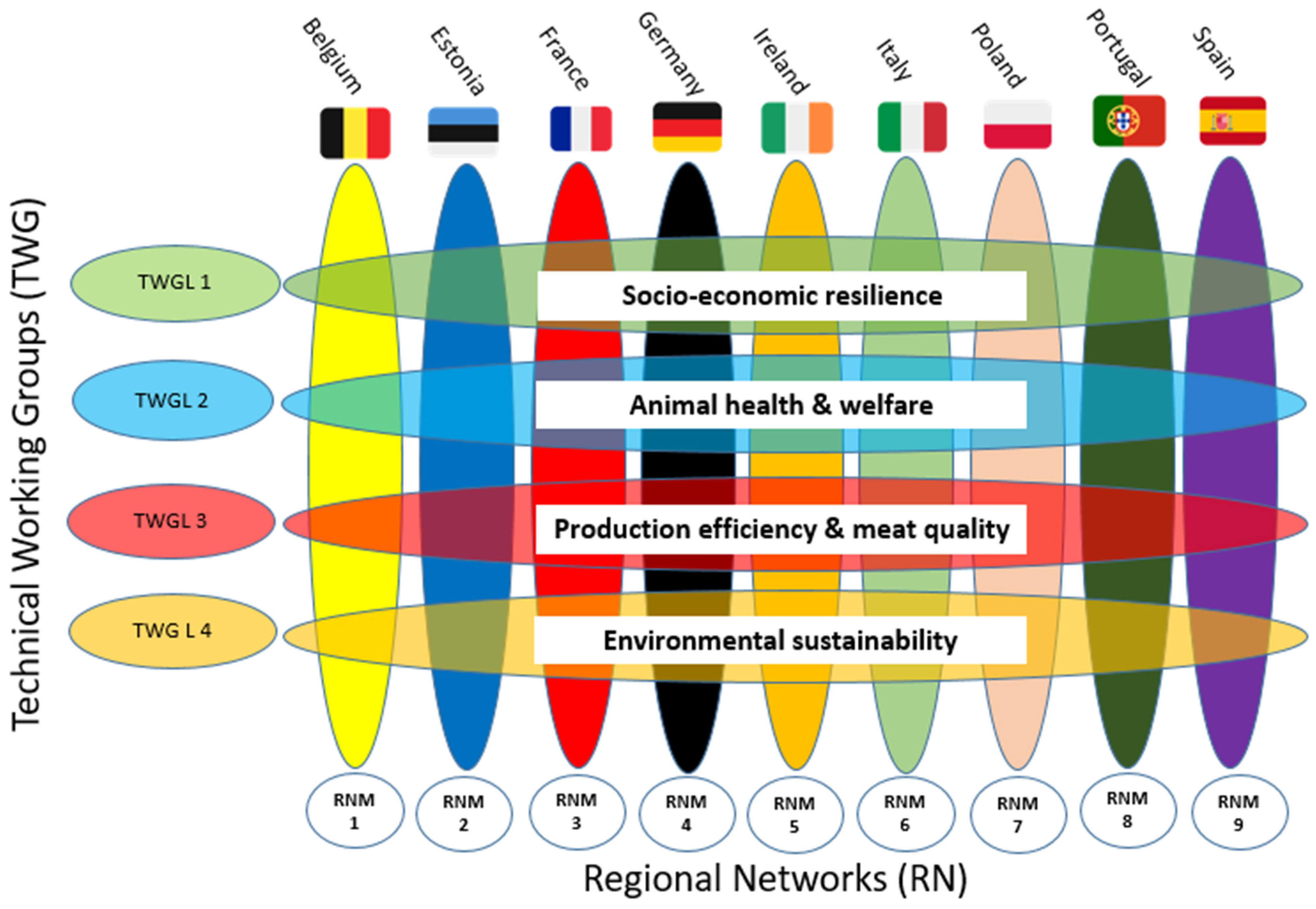 Sustainability 14 04446 g001