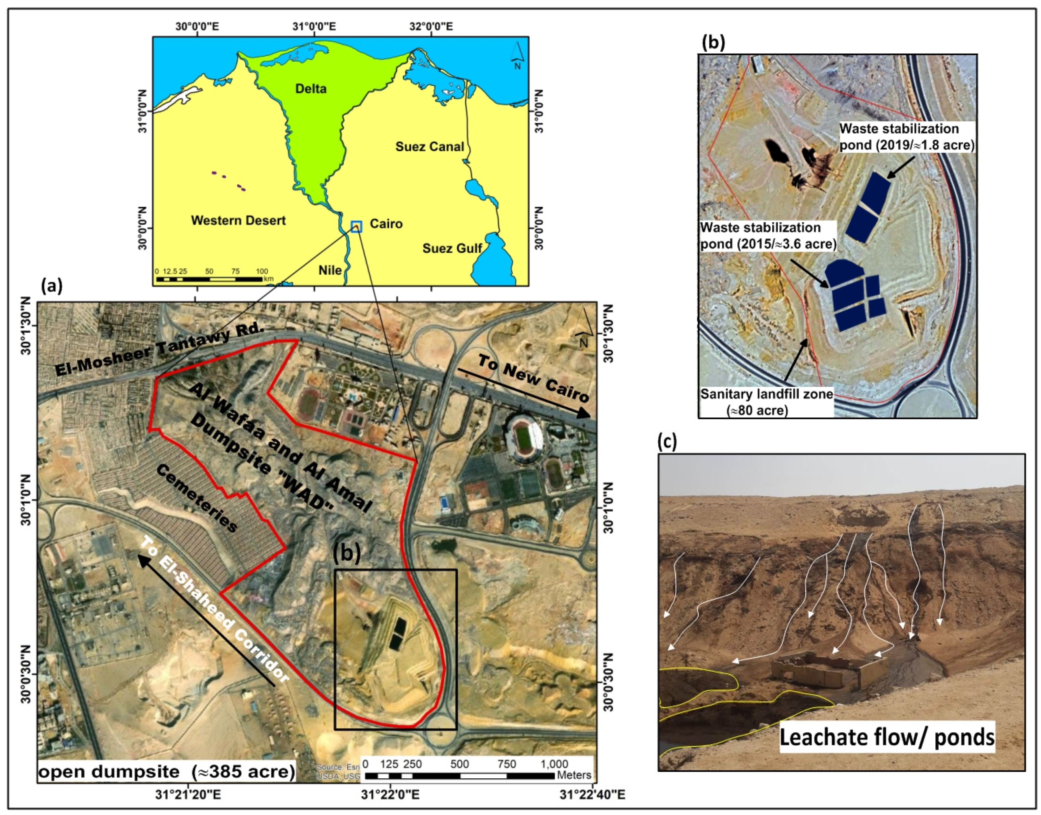 Sustainability 14 04539 g002