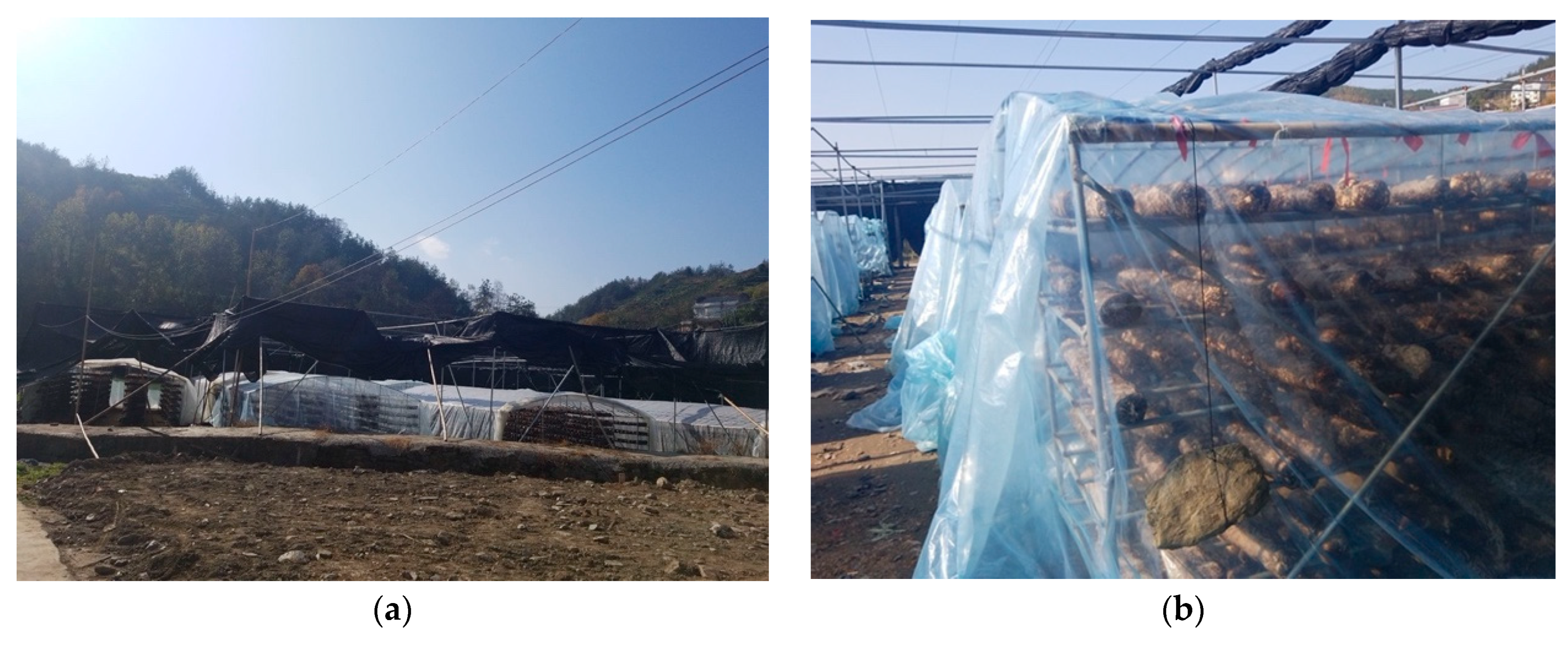 Sustainability 14 04607 g006