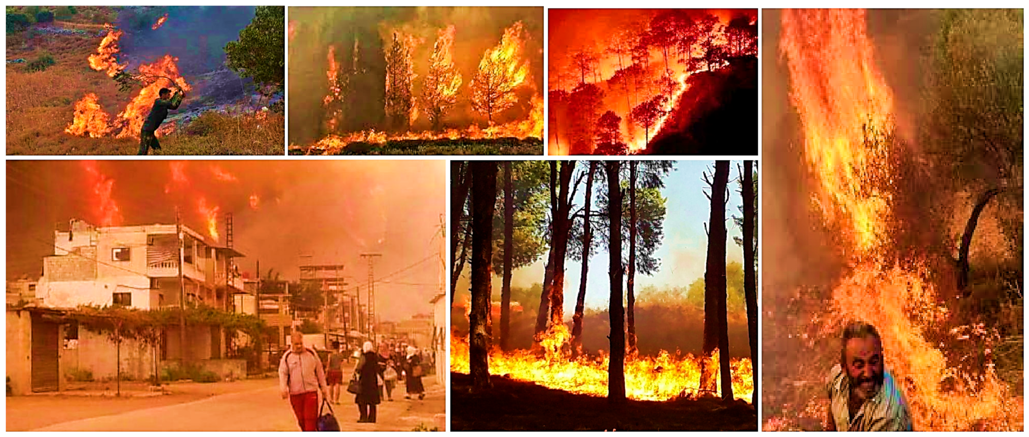 Sustainability 14 04668 g002