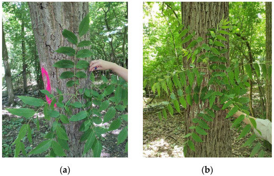 Sustainability 14 04782 g0a1a 550