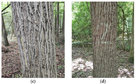 Sustainability 14 04782 g0a1b 550