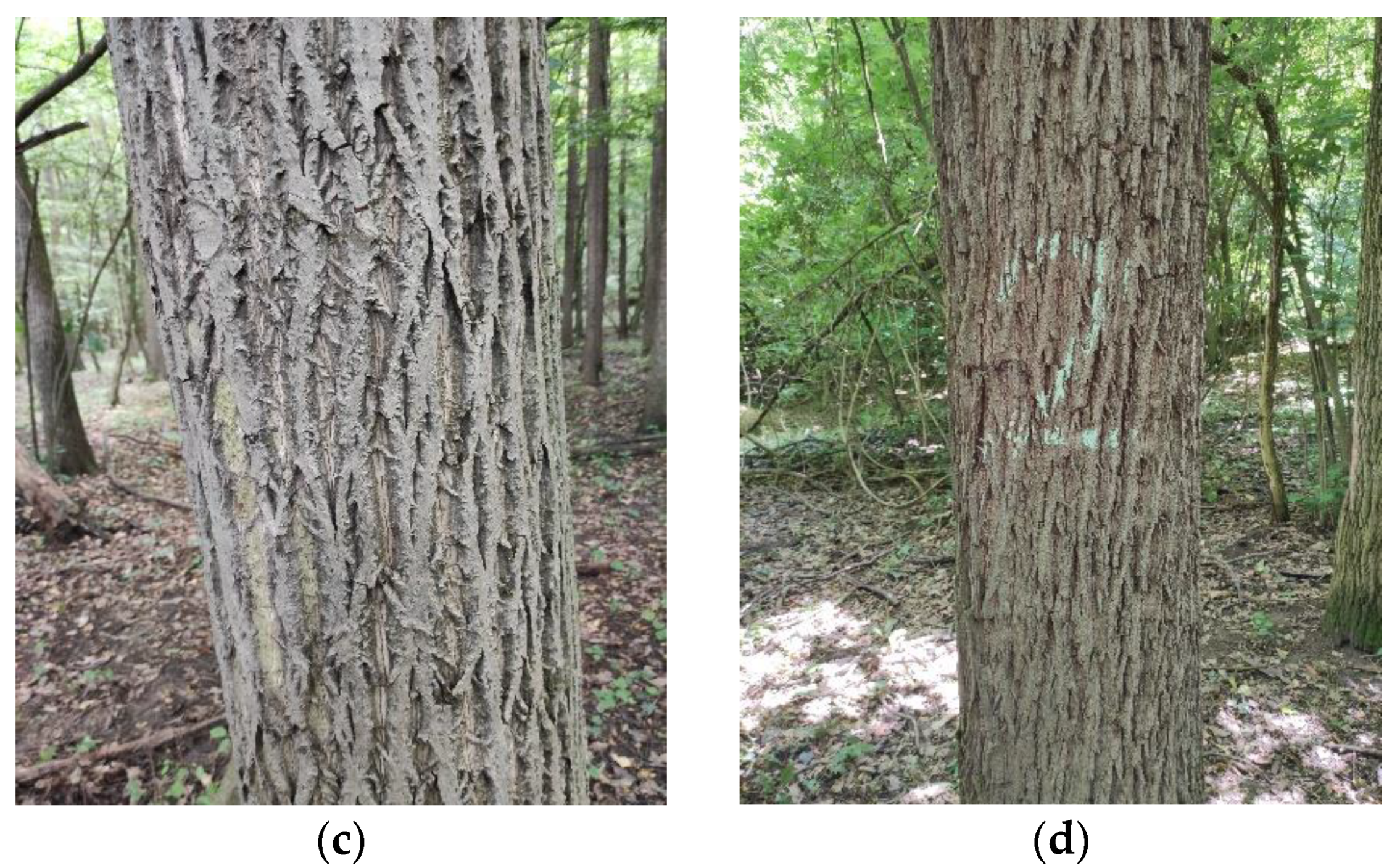 Sustainability 14 04782 g0a1b